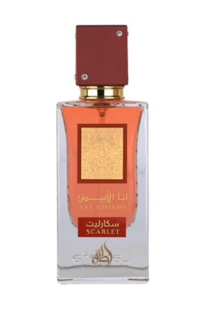 Hamidi Addicted Enigma EDP 100ml